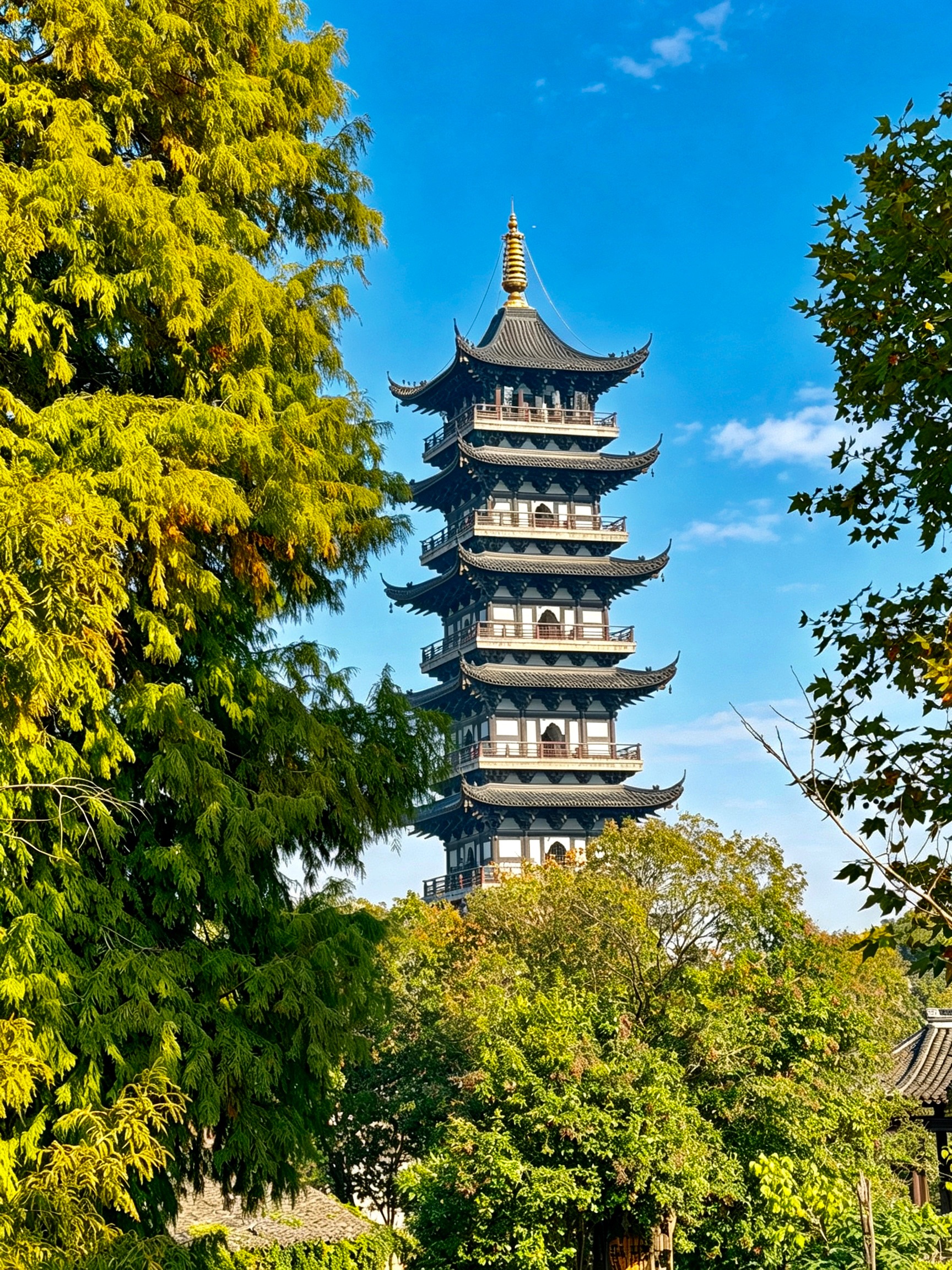 嘉兴相册第 11 张照片