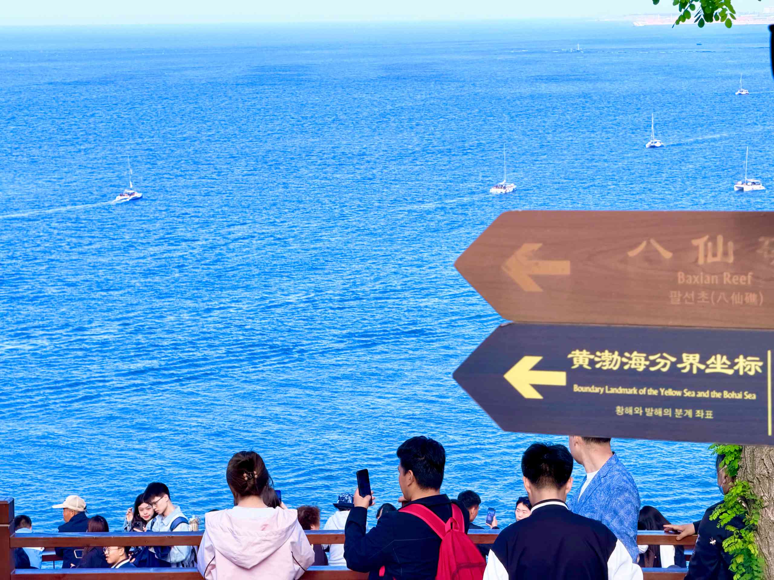 烟台相册第 6 张照片