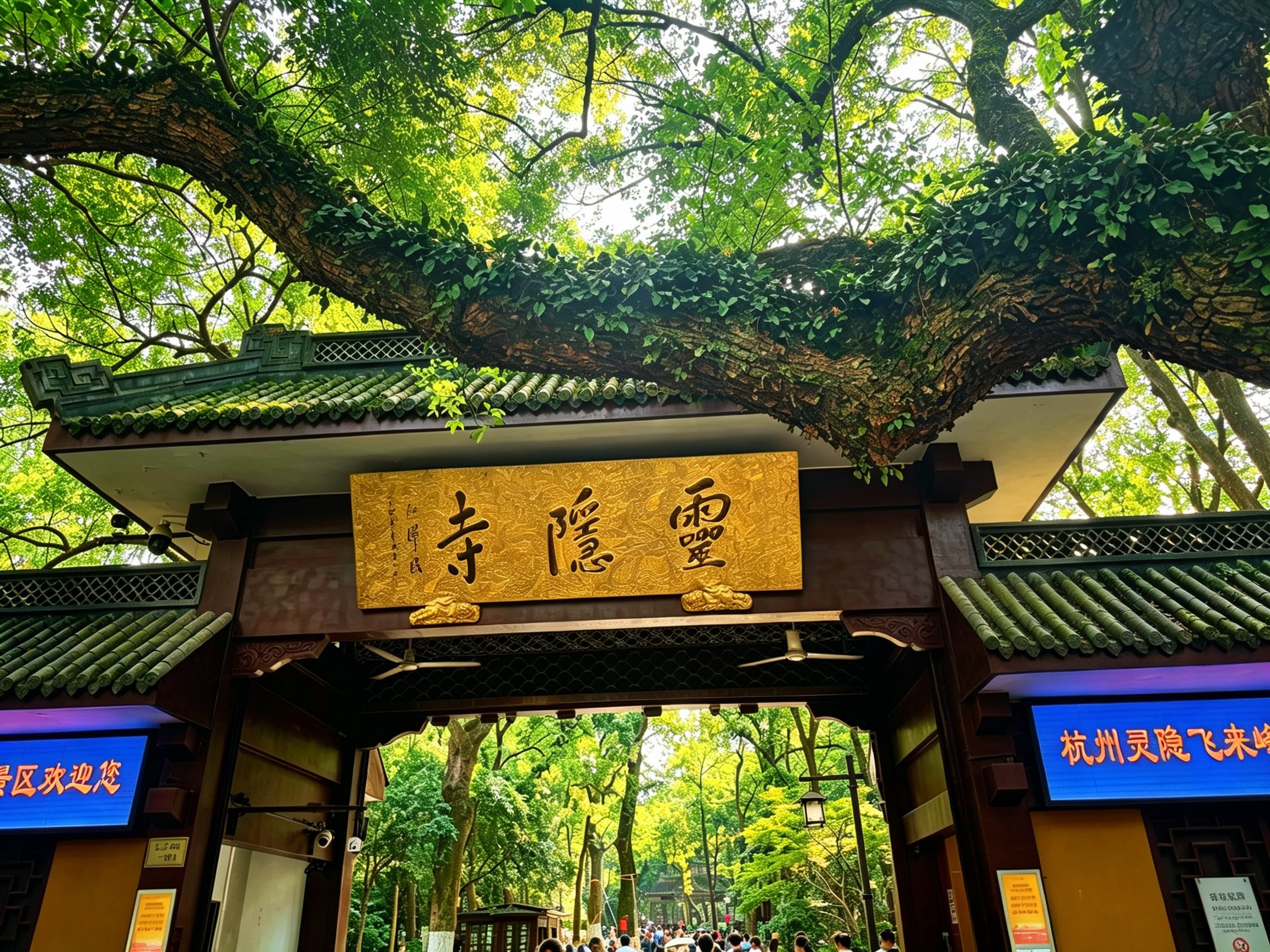 杭州相册第 9 张照片